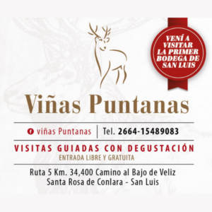 Viñas Puntanas Logo